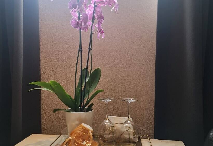 צימר Crown Guesthouse Amsterdam