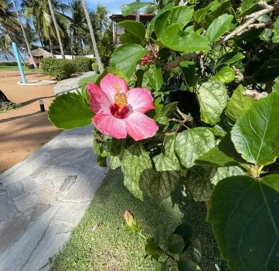 Hotelli Bitingui Praia
