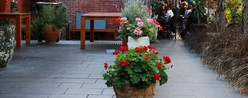 Sinclairs City Hostel