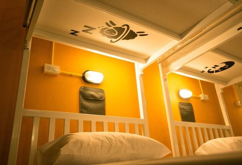 Backpack House Hostel