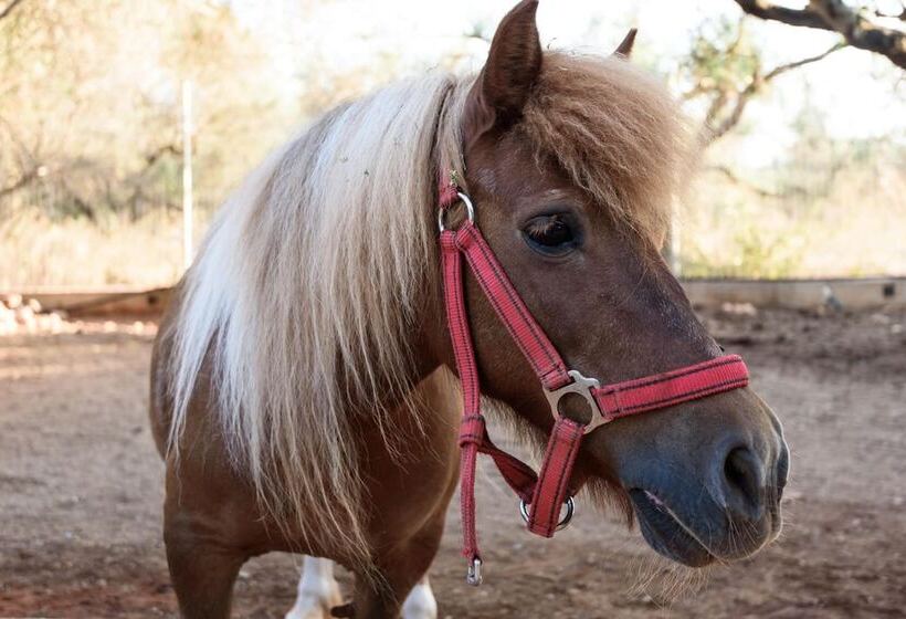 Paradisio Baby & Kinder