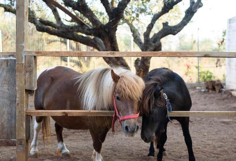 Paradisio Baby & Kinder