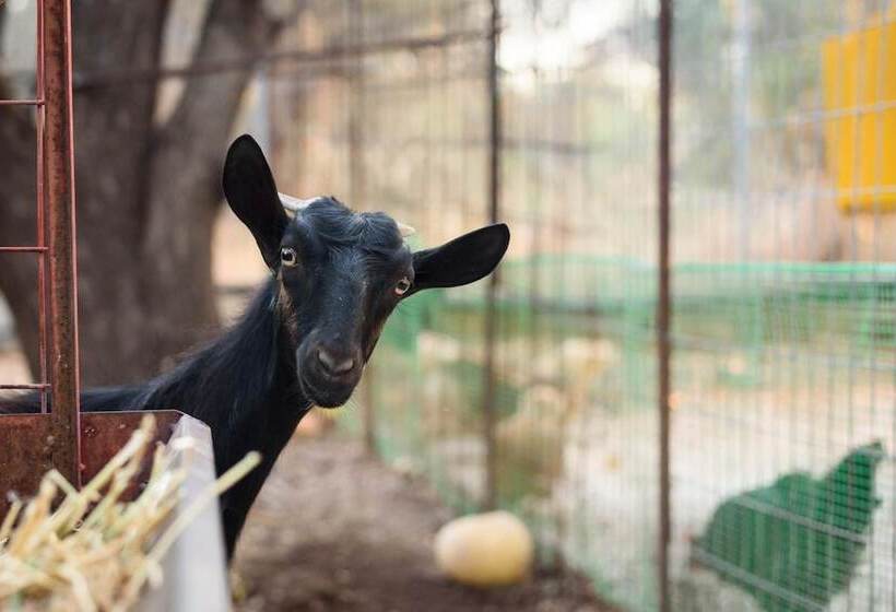 Paradisio Baby & Kinder