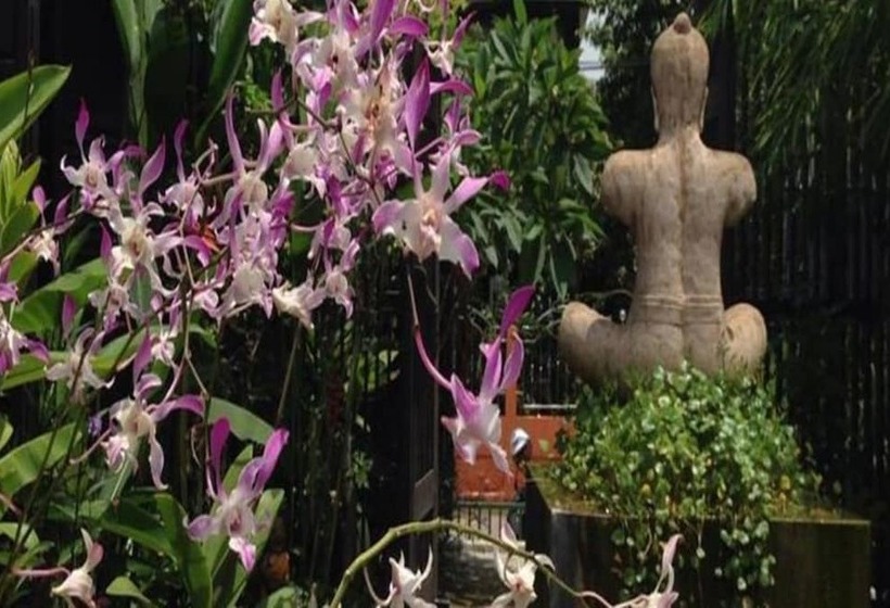 膳宿费 Artist S Place Trat