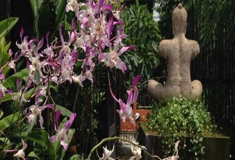 پانسیون Artist S Place Trat