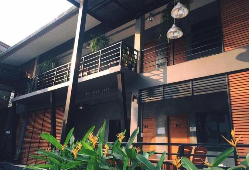 פנסיון Palmhouse