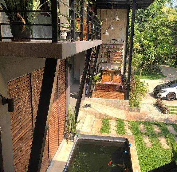 פנסיון Palmhouse