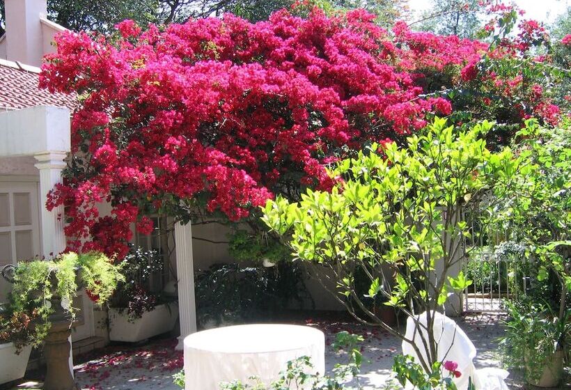 بنسيون Villa Victoria Executive Guest House