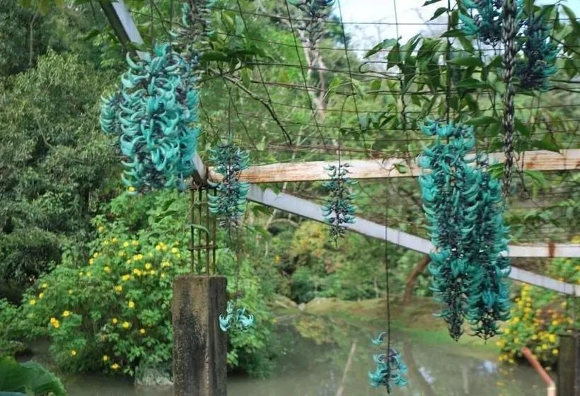 ホテル Finca Jardín Del Agua