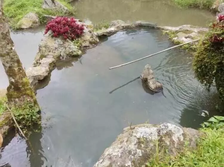 ホテル Finca Jardín Del Agua