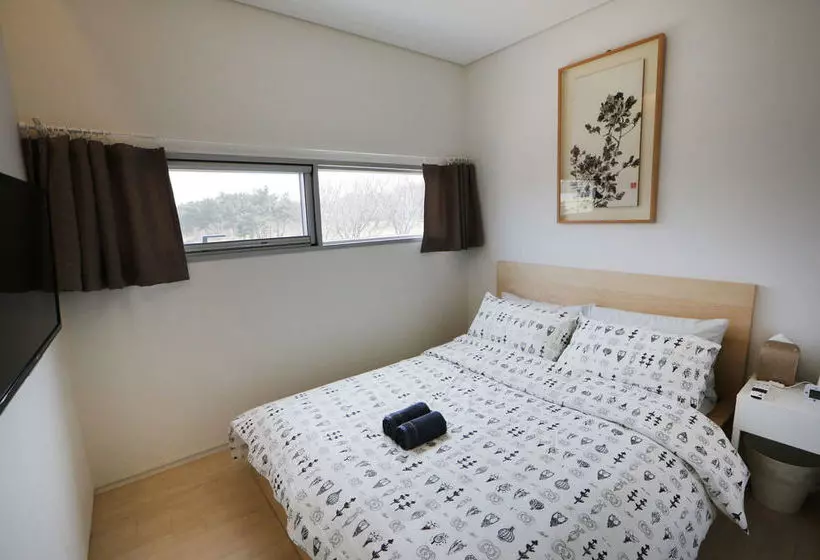 Runway Guesthouse  Hostel