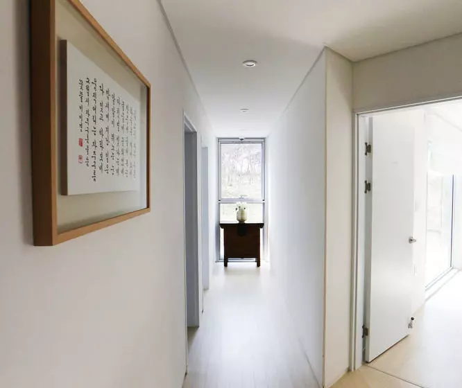 Runway Guesthouse  Hostel