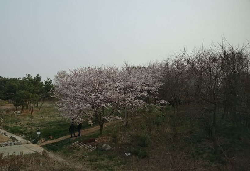 Runway Guesthouse Hostel