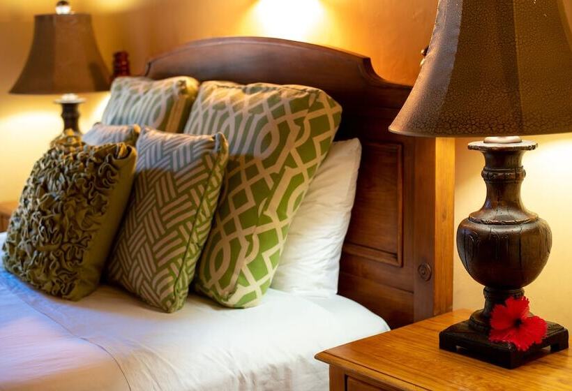 تختخواب و صبحانه Caribe Tesoro