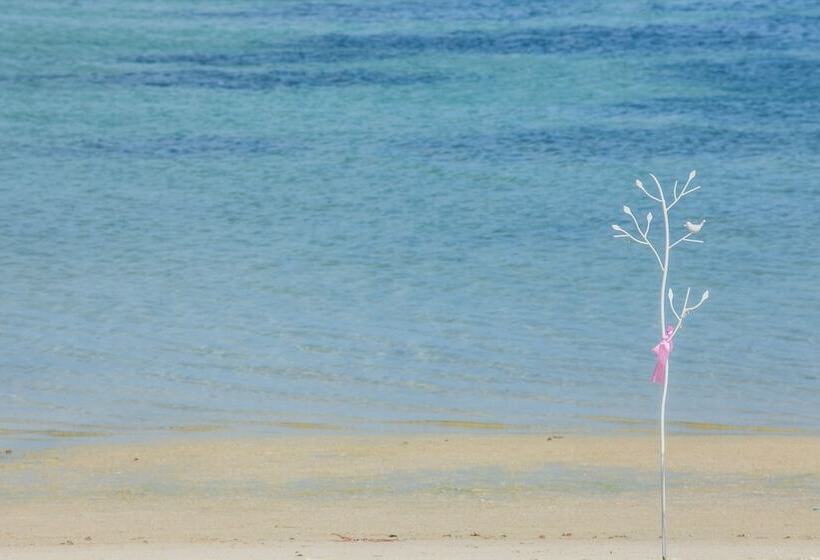 Hello Backpacker Samui Hostel