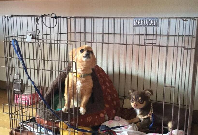 פנסיון Minshuku Cress