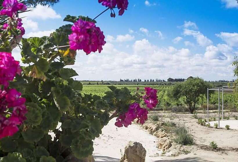 膳宿费 Residence Casale Verderame