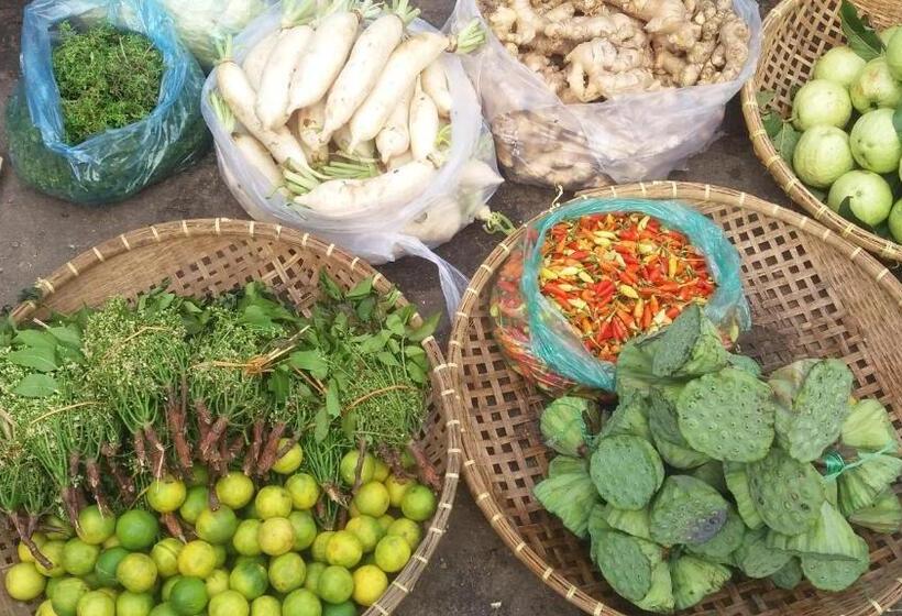 פנסיון Spayhiti