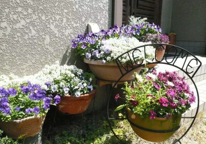 Pension Sirogisu