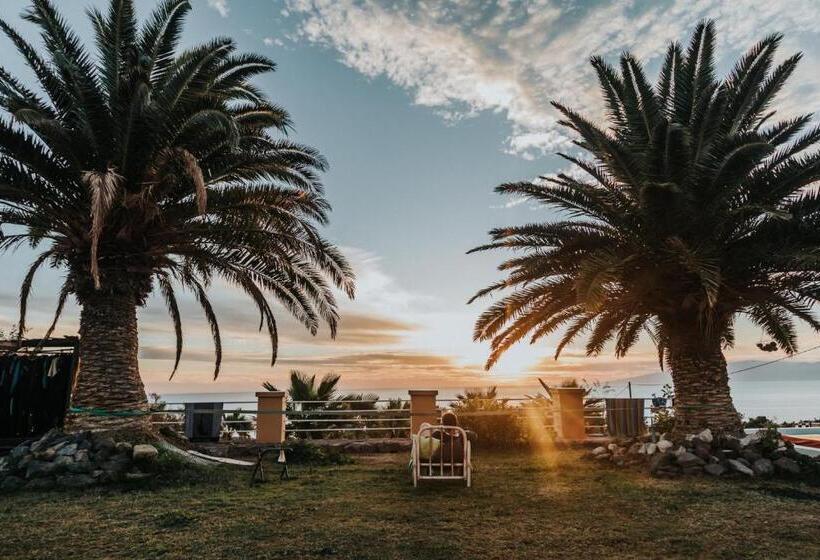 هاستل Twin Fin Surf Camp