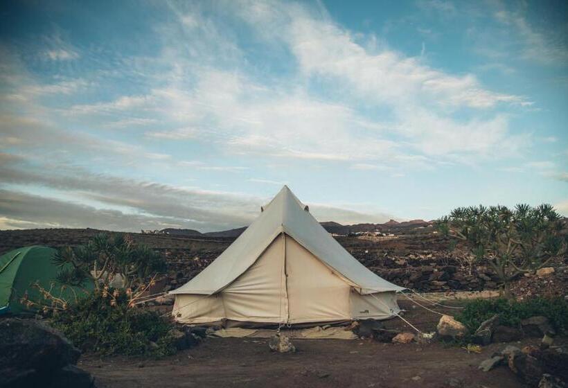 هاستل Twin Fin Surf Camp