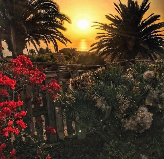 هاستل Twin Fin Surf Camp