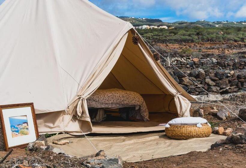 هاستل Twin Fin Surf Camp