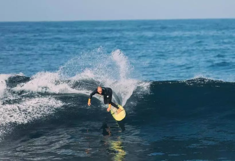 ユースホステル Twin Fin Surf Camp