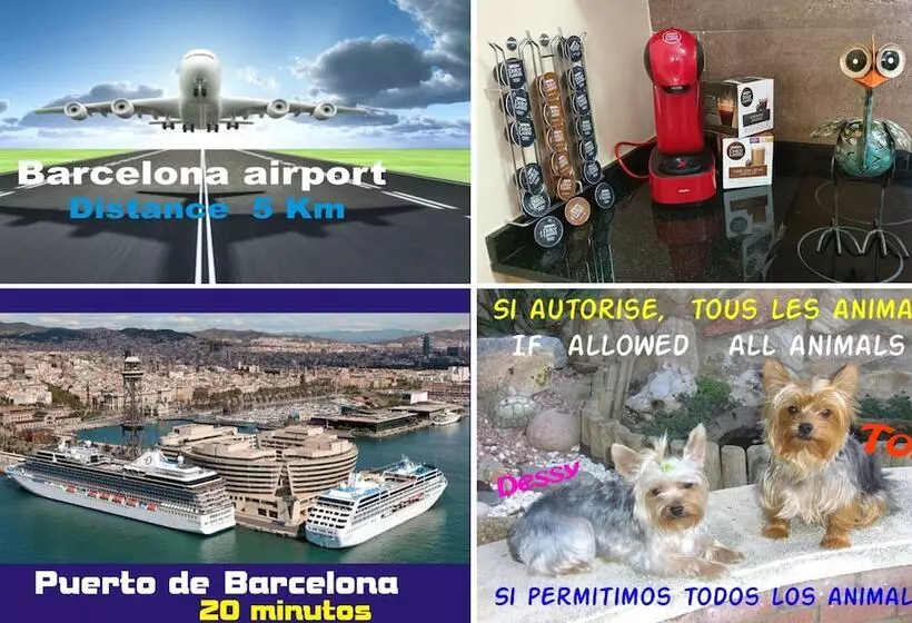 Attic Terrace Bbq, Airport Barcelona, Cerca Playas Castelldefels