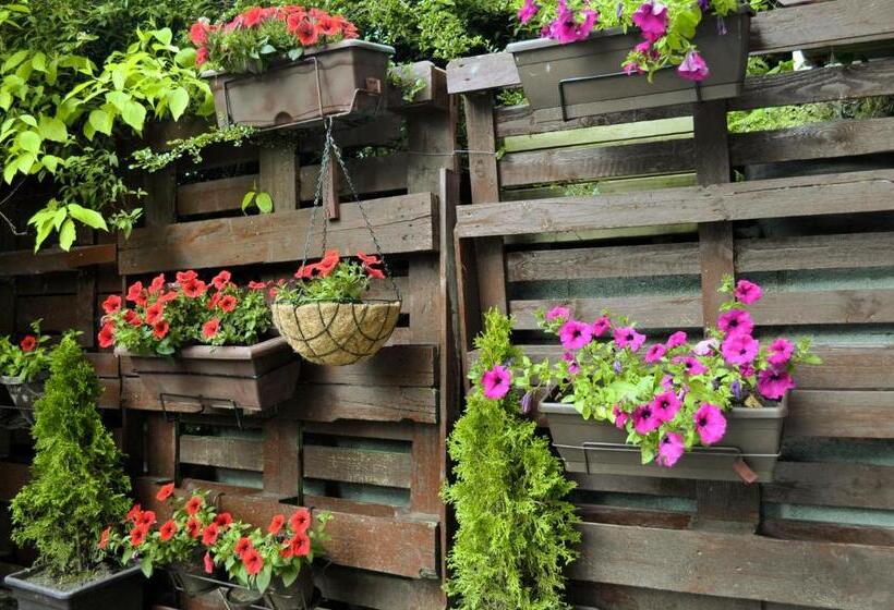 בית מלון כפרי Pazo De Monterrei