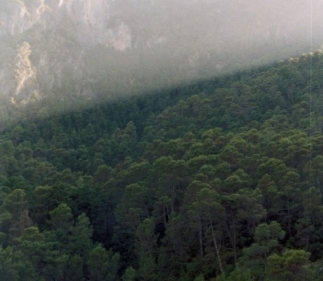 Отель Rural Hospederia Las Cañadillas