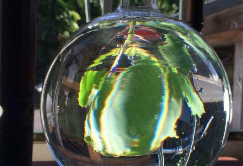 پانسیون Guest House Shirahama R Cafe – Caters To Women   Hostel