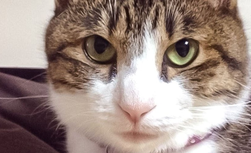 پانسیون Guest House Shirahama R Cafe – Caters To Women   Hostel