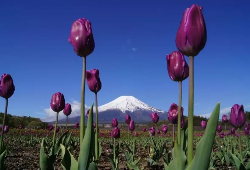 旅館 Zero Project Japan Guesthouse
