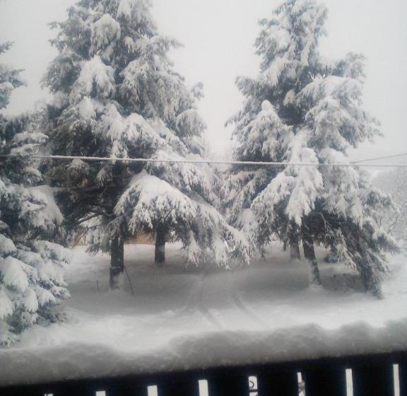 Bed and Breakfast Affittacamere Les Noyers