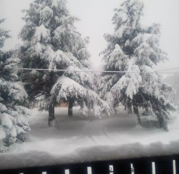 تختخواب و صبحانه Affittacamere Les Noyers