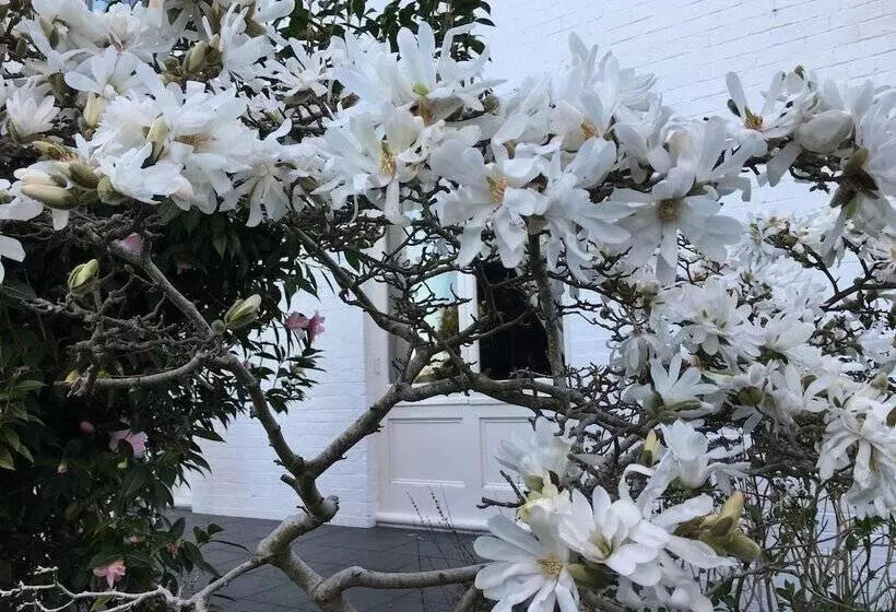 Aamiaismajoitus (B&B) Boscobel Of Tasmania