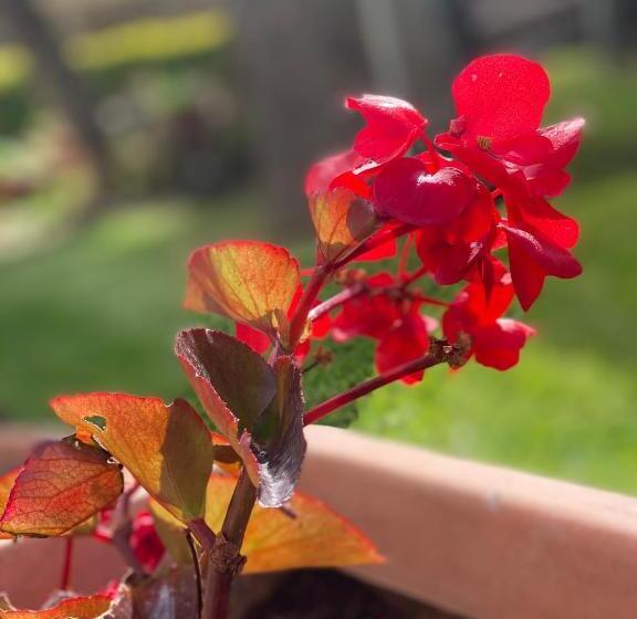 ベッドアンドブレックファースト Villino Gregoraci Relais