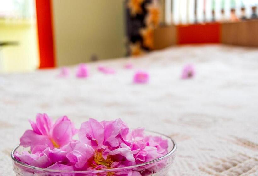 Family Hotel Kavrakovi