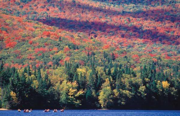 Gîte Parc Mauricie B&b