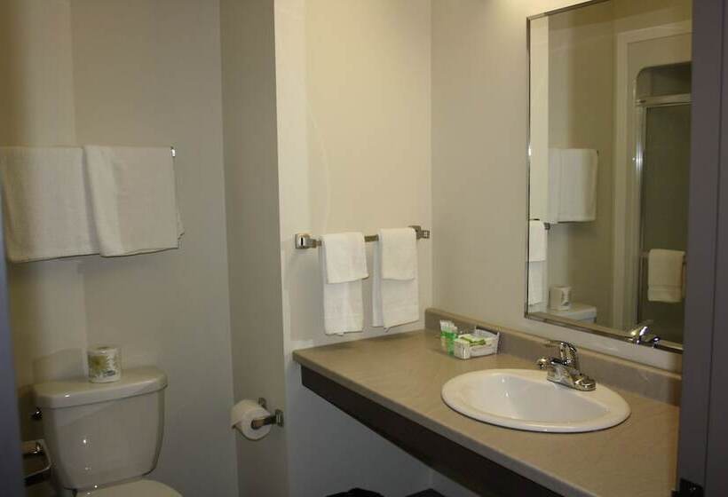 酒店 Crossroads Inn & Suites