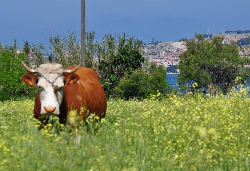 酒店 Tirrena Bike & Country