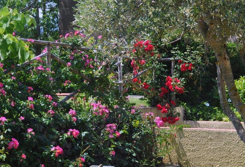 酒店 Tirrena Bike & Country