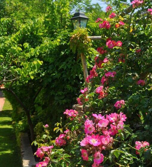 酒店 Tirrena Bike & Country