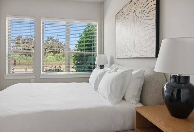 Kasa At Cortland Noda Charlotte