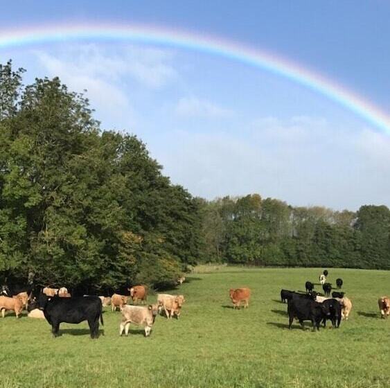 צימר Mallard Grange