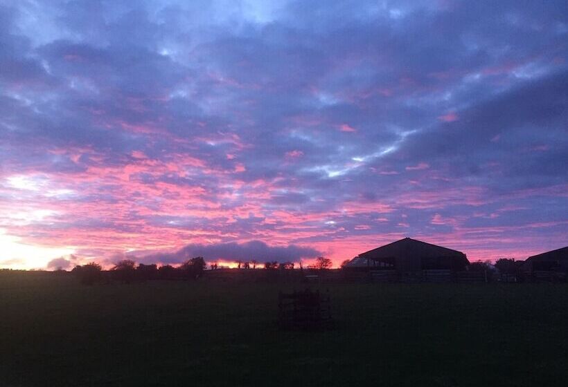 צימר Mallard Grange