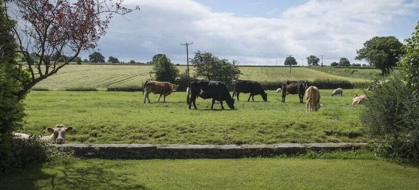 צימר Mallard Grange