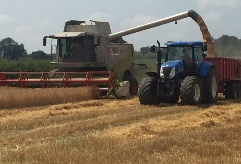 צימר Mallard Grange