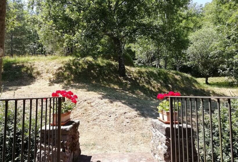 Lovely Cottage In Bagni Di Lucca Amidst Fields